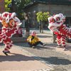 This is one of the best lion dance teams in all of Vancouver and the lower mainland. Very professional to deal with when booking and their showmanship is the best I've seen. They a