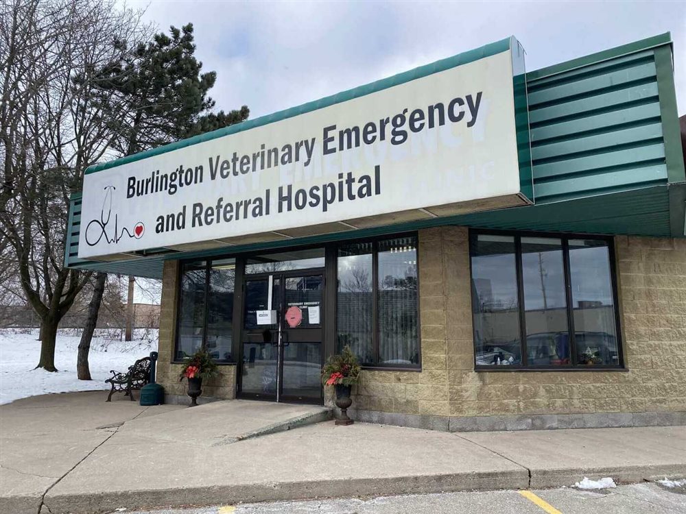 Burlington Veterinary Emergency & Referral Hospital